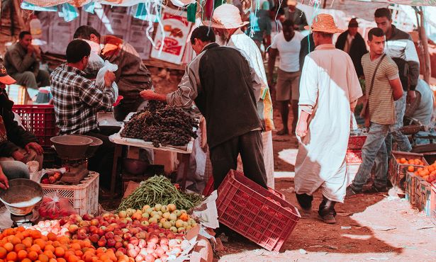 Renault Looking For Businesses Agriculture in Africa